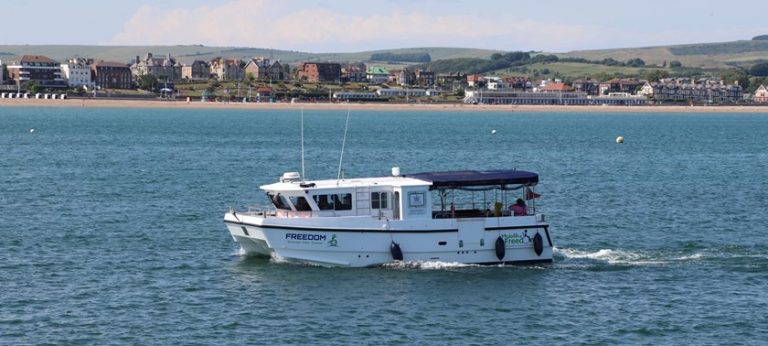 Stories of effective advocacy and activism